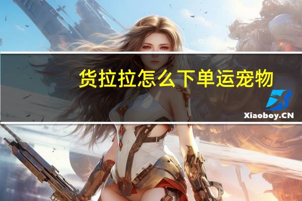 货拉拉怎么下单运宠物