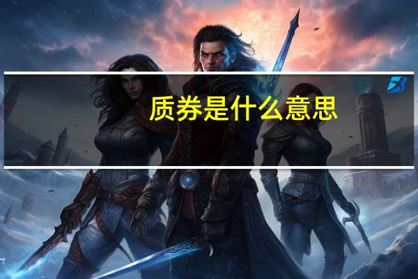 质券是什么意思