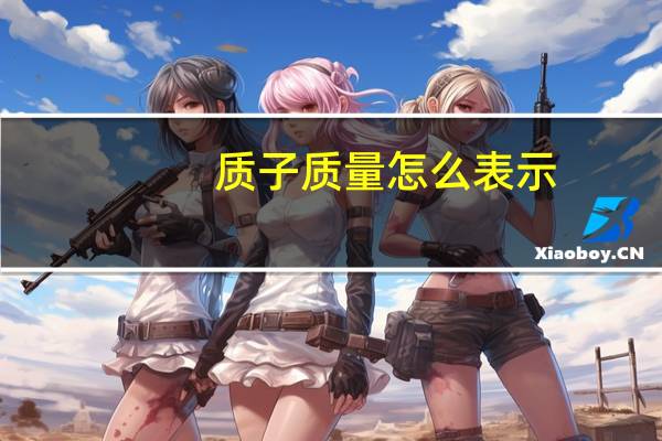质子质量怎么表示