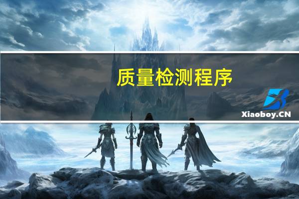 质量检测程序