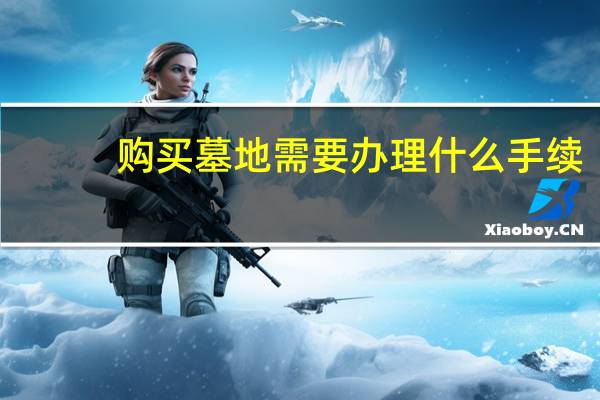 购买墓地需要办理什么手续