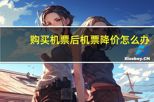 购买机票后机票降价怎么办