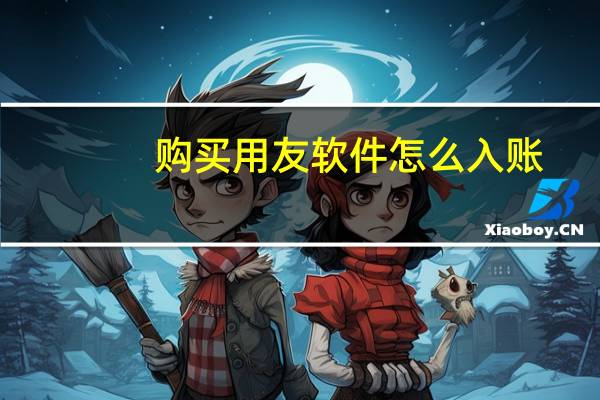 购买用友软件怎么入账