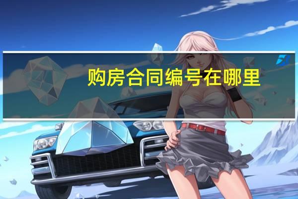 购房合同编号在哪里