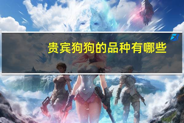 贵宾狗狗的品种有哪些