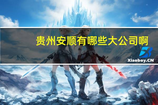 贵州安顺有哪些大公司啊