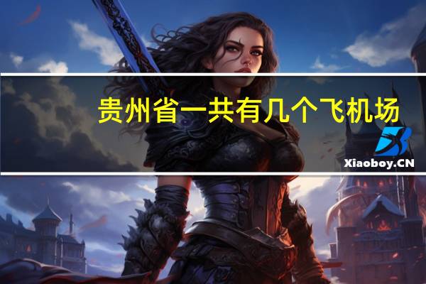贵州省一共有几个飞机场