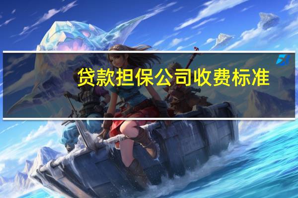贷款担保公司收费标准