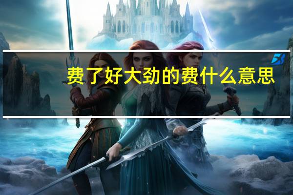 费了好大劲的费什么意思