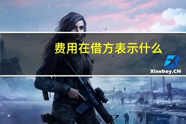 费用在借方表示什么