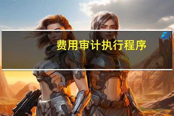 费用审计执行程序