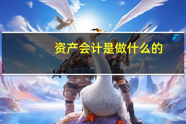 资产会计是做什么的
