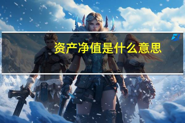 资产净值是什么意思