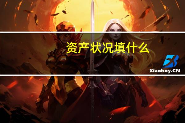 资产状况填什么