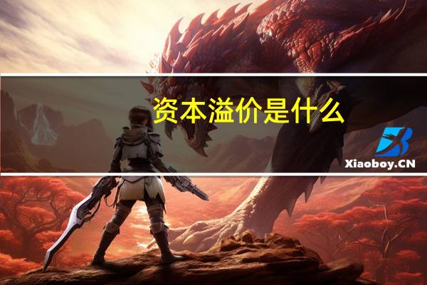 资本溢价是什么