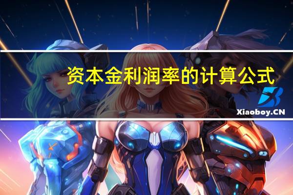 资本金利润率的计算公式