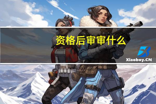 资格后审审什么