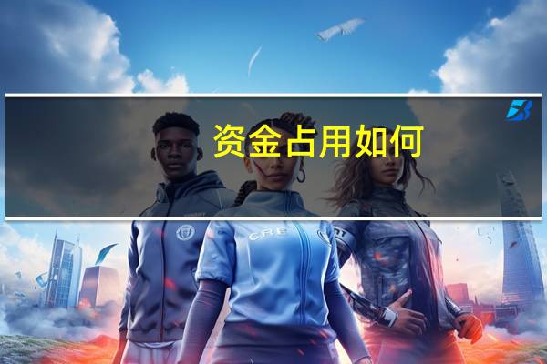 资金占用如何