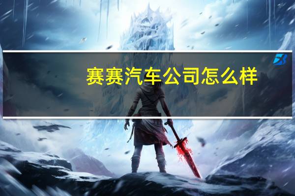 赛赛汽车公司怎么样
