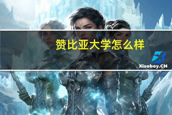 赞比亚大学怎么样