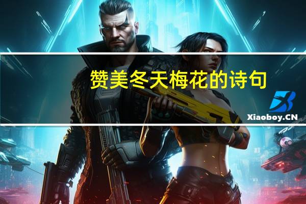赞美冬天梅花的诗句