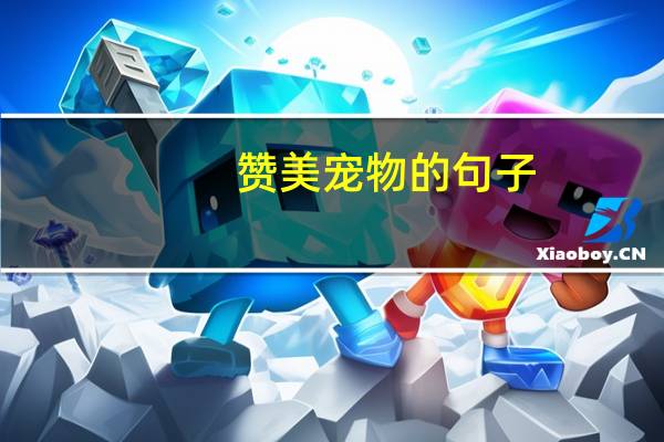 赞美宠物的句子