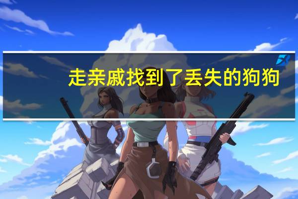 走亲戚找到了丢失的狗狗