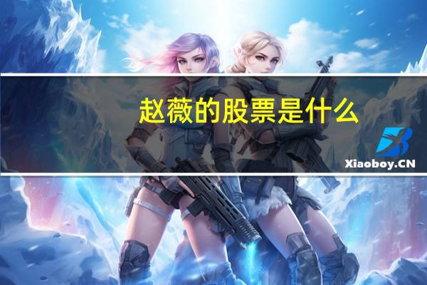 赵薇的股票是什么