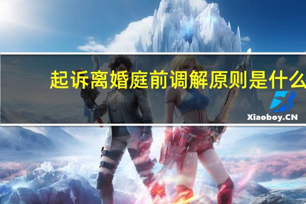 起诉离婚庭前调解原则是什么