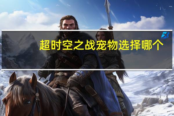 超时空之战宠物选择哪个