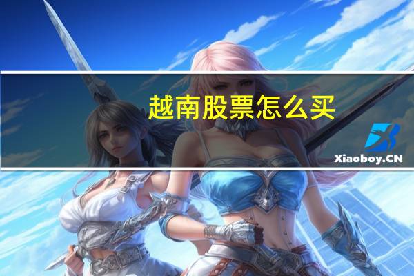 越南股票怎么买