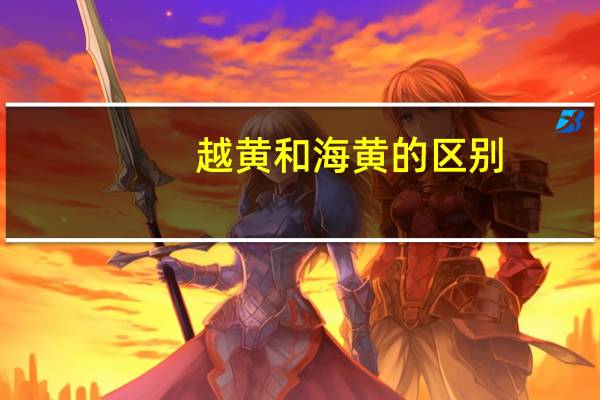 越黄和海黄的区别