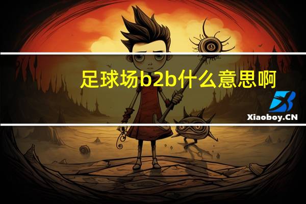 足球场b2b什么意思啊