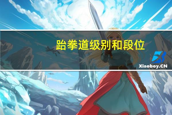 跆拳道级别和段位