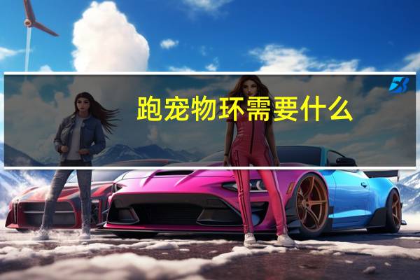 跑宠物环需要什么