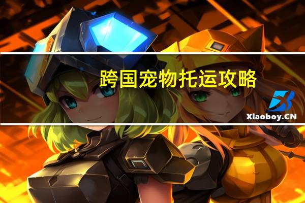 跨国宠物托运攻略