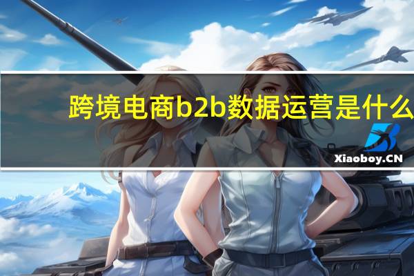 跨境电商b2b数据运营是什么