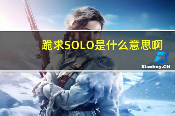 跪求SOLO是什么意思啊