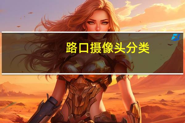 路口摄像头分类