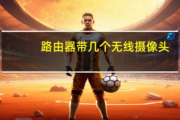 路由器带几个无线摄像头