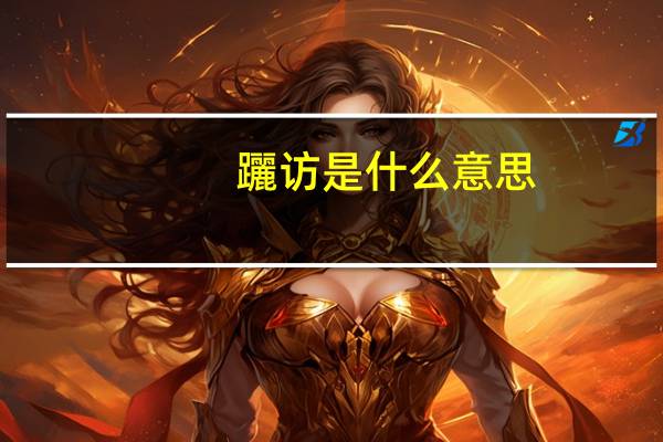 躧访是什么意思