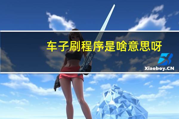 车子刷程序是啥意思呀