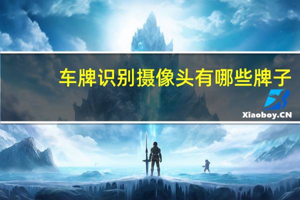 车牌识别摄像头有哪些牌子