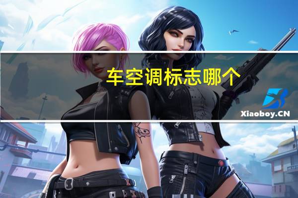 车空调标志哪个