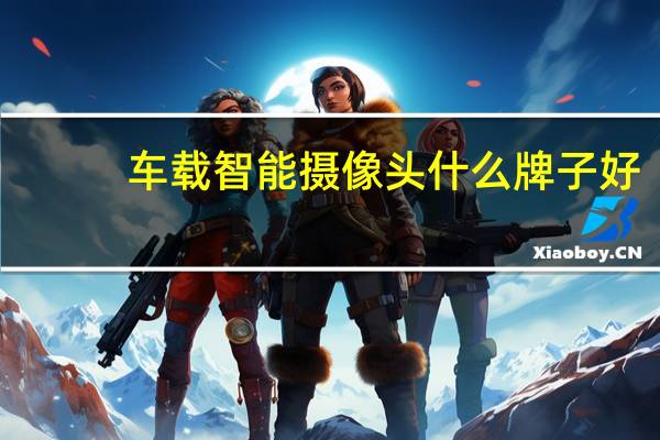 车载智能摄像头什么牌子好