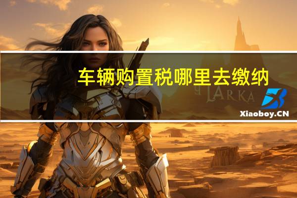 车辆购置税哪里去缴纳