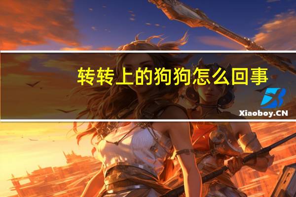 转转上的狗狗怎么回事