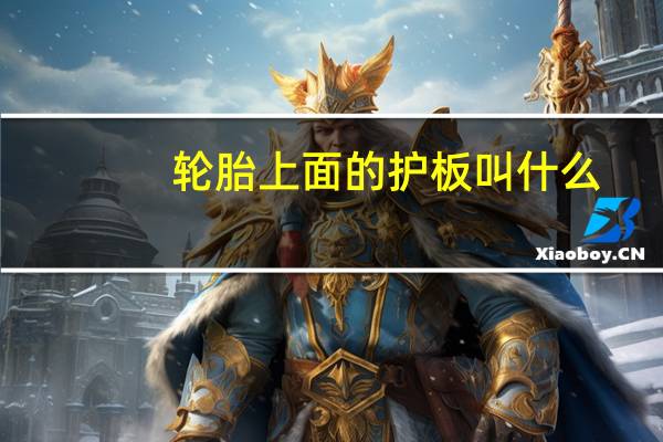 轮胎上面的护板叫什么