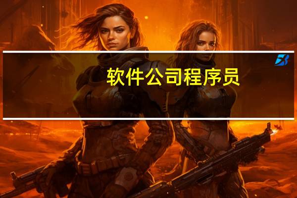 软件公司程序员