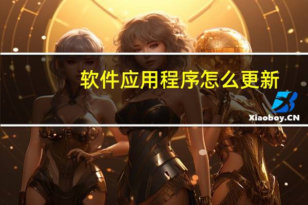 软件应用程序怎么更新